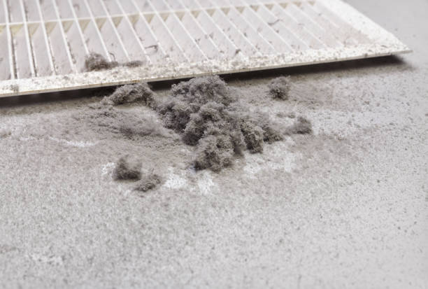 Best Air Duct Mold Removal  in Pataskala, OH