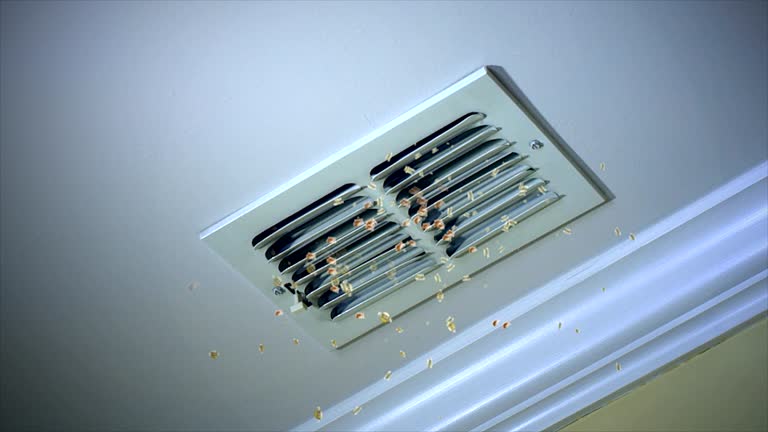 Best Best Air Duct Cleaning Company  in Pataskala, OH